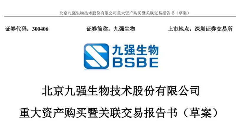 重组抗体：揭秘上海生产服务的关键要素**