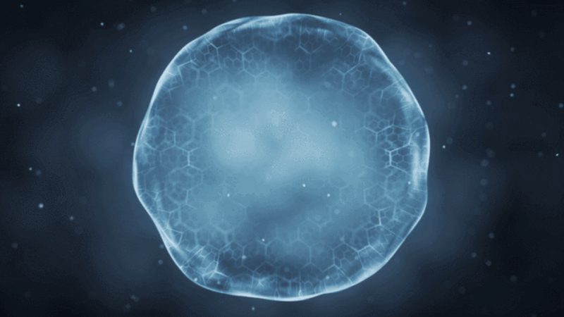 生物医药研发外包：揭秘上海服务商排名背后的考量**