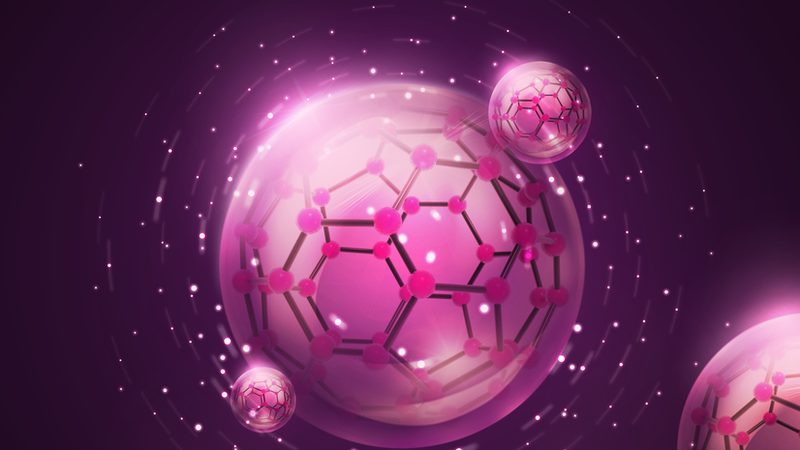 实时荧光PCR检测假阳性原因解析**