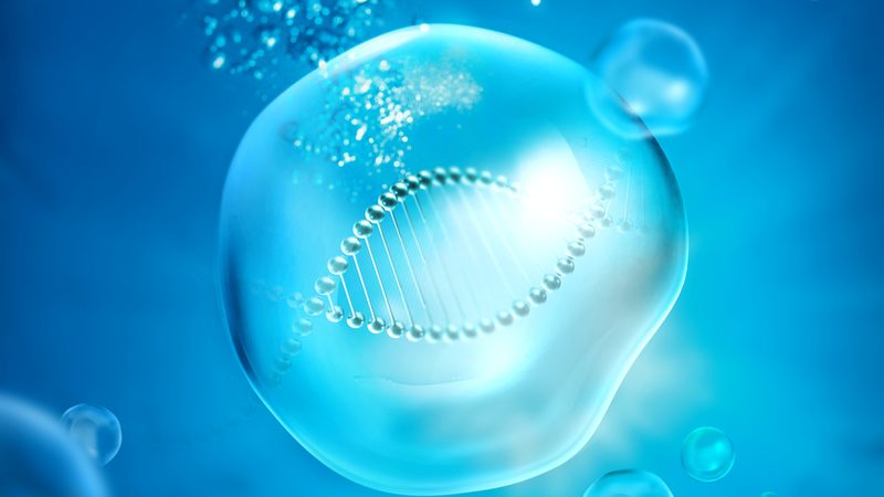 荧光定量PCR试剂盒：揭秘其背后的科学与应用**