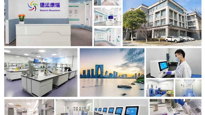 临床前外包服务：研发路上的得力助手