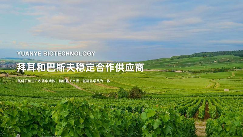 生物医药外包公司资质要求：合规之路的关键要素**