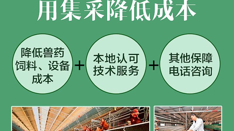 进口实验室耗材报关，这5步不可或缺