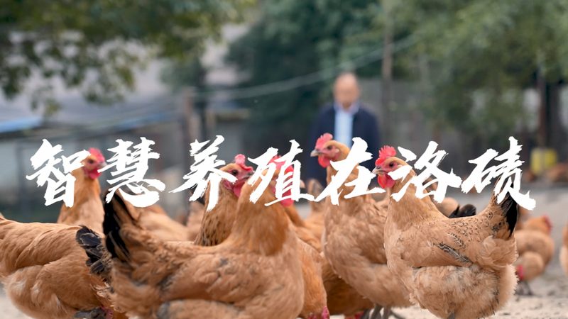 CRO在医药研发中的关键作用：如何提升研发效率与合规性**