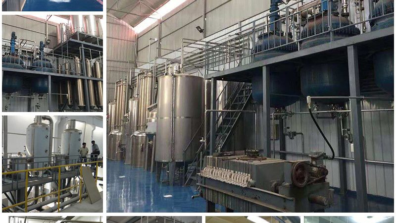 基因测序个性化服务：成都如何引领精准医疗新潮流