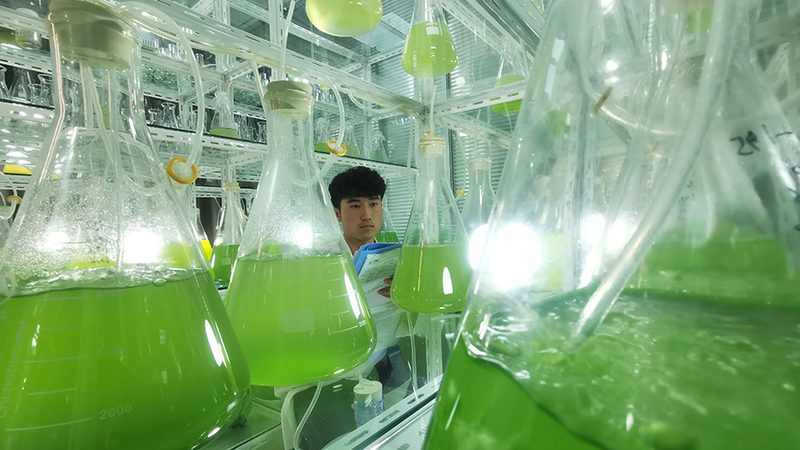 移液器型号大揭秘：如何选择最适合你的实验室利器**